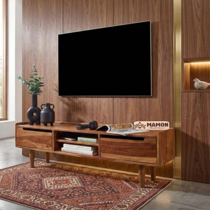 Sheesham Wood Modern TV Unit with Door and Shelf Storage - Natural Honey